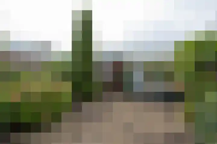 Zeilhof 4 Rijsenhout thumbnail 31