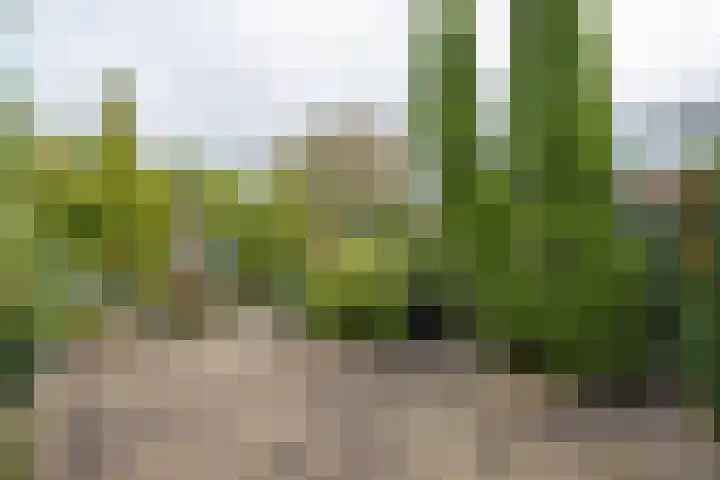 Zeilhof 4 Rijsenhout thumbnail 32