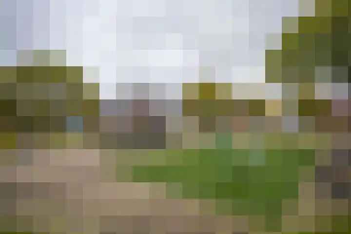 Zeilhof 4 Rijsenhout thumbnail 33