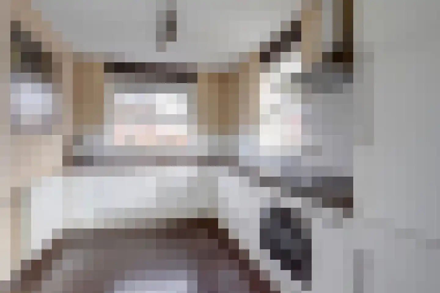 Zeilmaker 2 Zeewolde thumbnail 10
