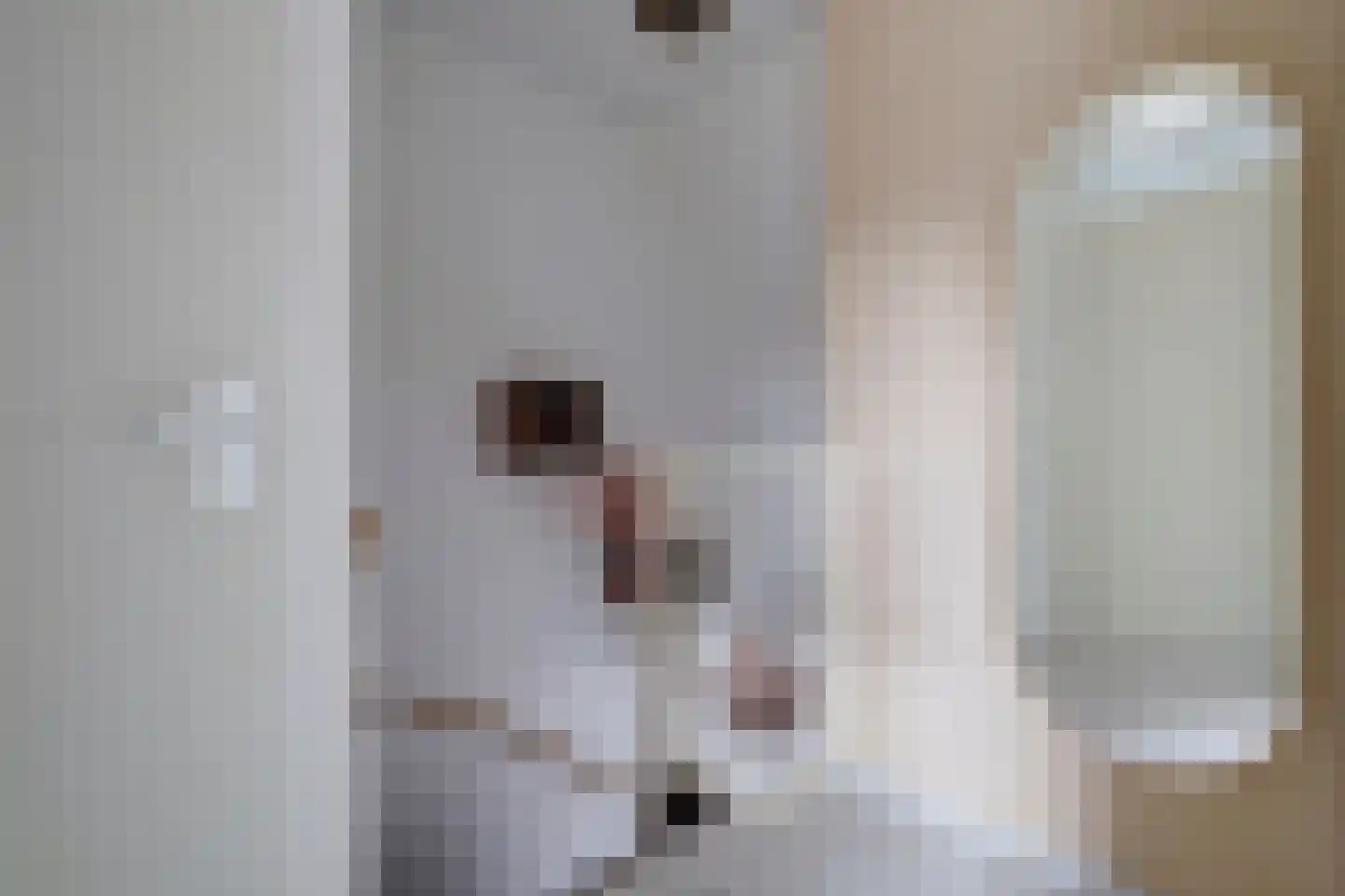 Zeilmaker 2 Zeewolde thumbnail 13