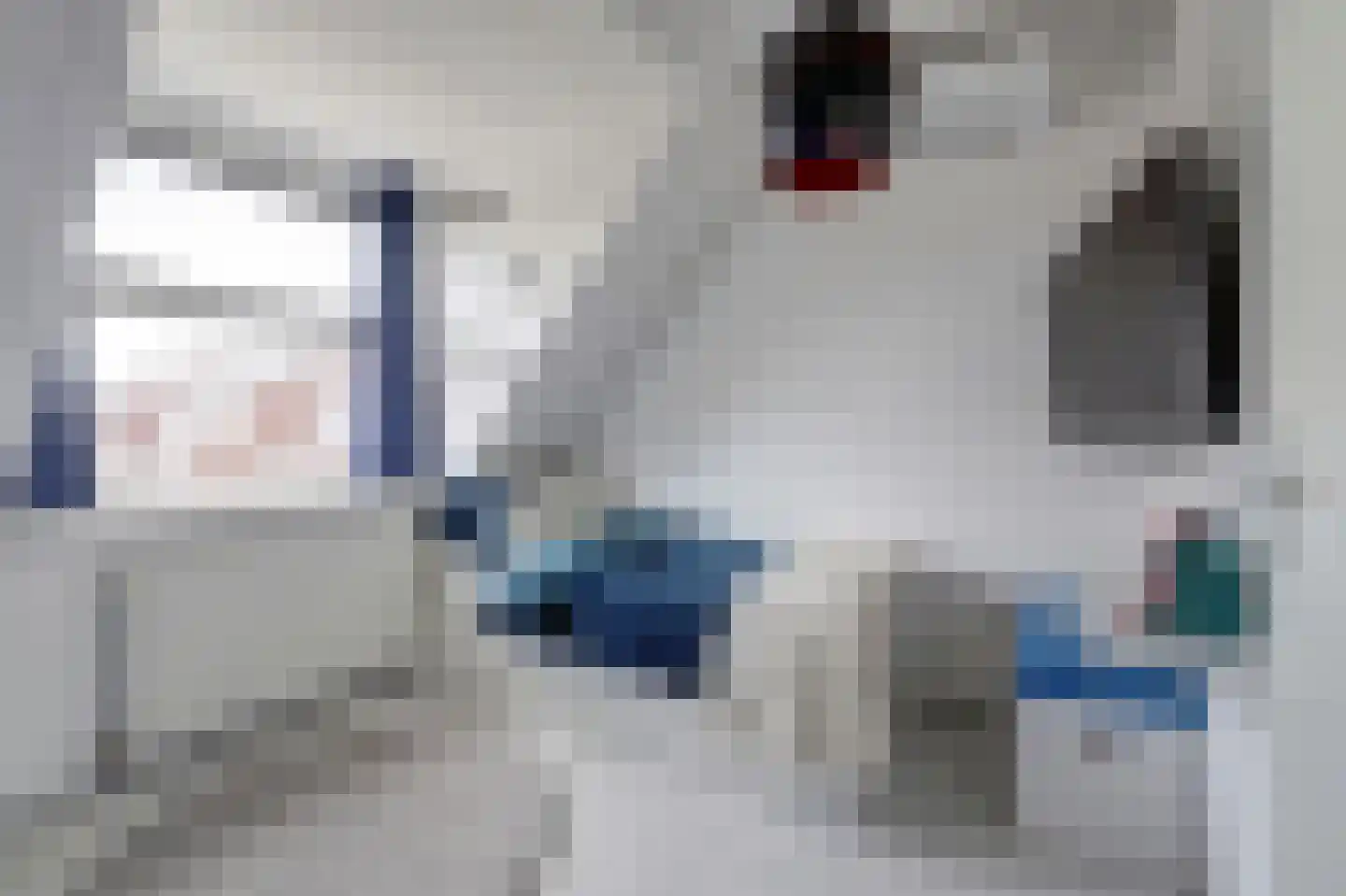 Zeilmaker 2 Zeewolde thumbnail 18
