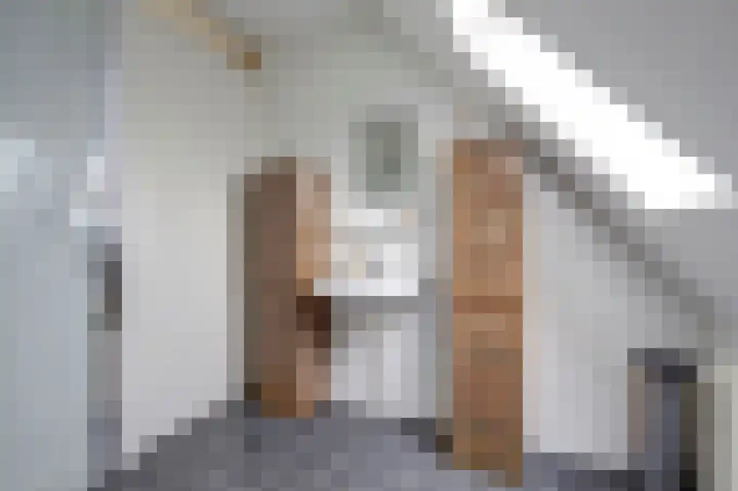 Zeilmaker 2 Zeewolde thumbnail 22