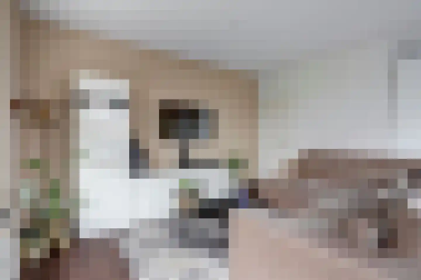 Zeilmaker 2 Zeewolde thumbnail 6