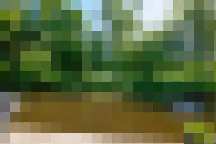 Zeilmaker 23 Landsmeer thumbnail 11