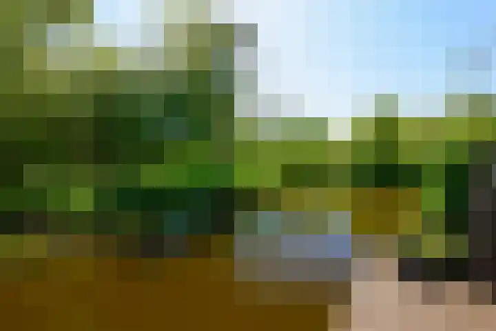 Zeilmaker 23 Landsmeer thumbnail 12
