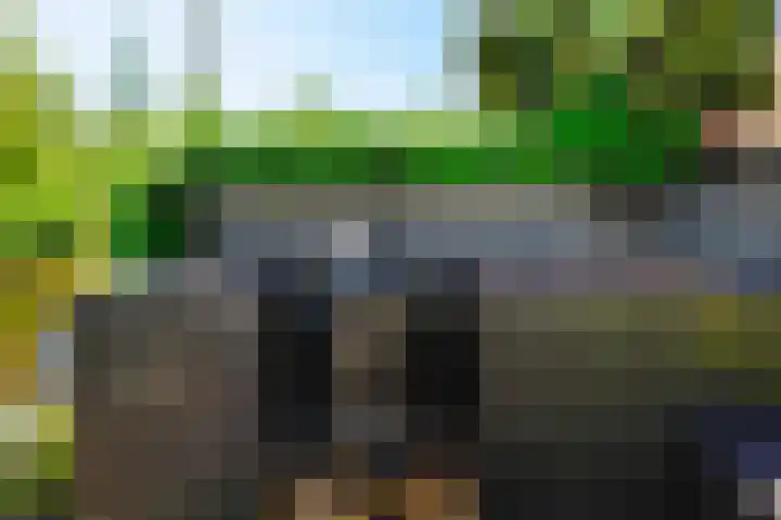 Zeilmaker 23 Landsmeer thumbnail 13