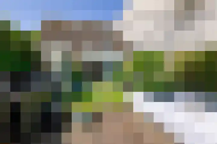 Zeilmaker 23 Landsmeer thumbnail 14