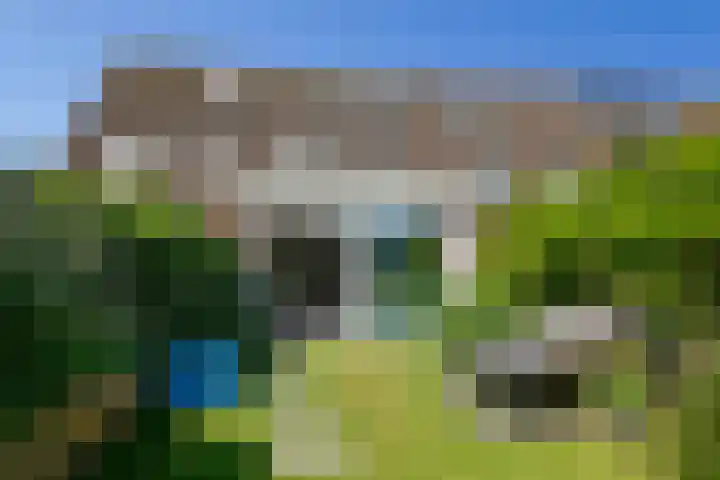 Zeilmaker 23 Landsmeer thumbnail 15
