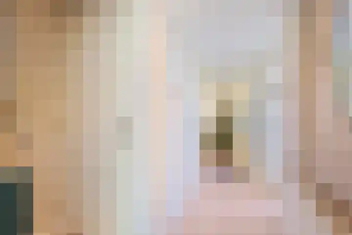 Zeilmaker 23 Landsmeer thumbnail 16