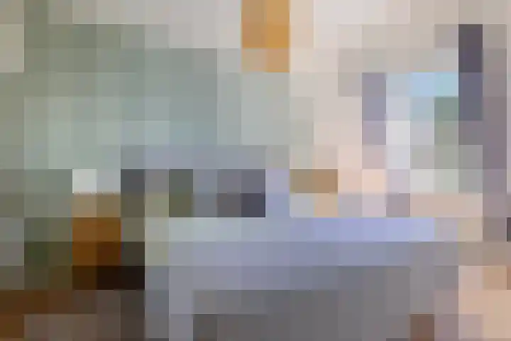 Zeilmaker 23 Landsmeer thumbnail 20