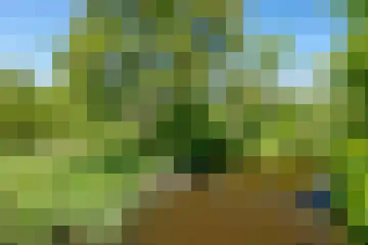 Zeilmaker 23 Landsmeer thumbnail 27