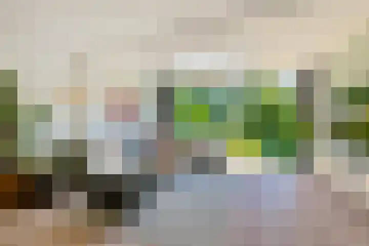 Zeilmaker 23 Landsmeer thumbnail 4