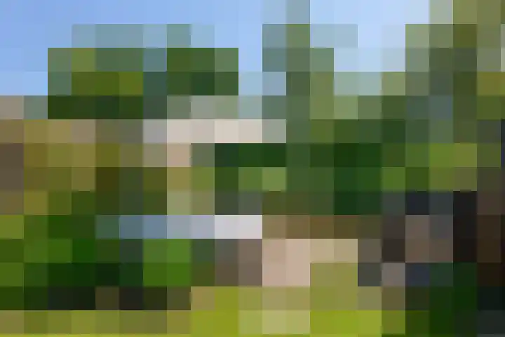 Zeilmaker 23 Landsmeer thumbnail 9
