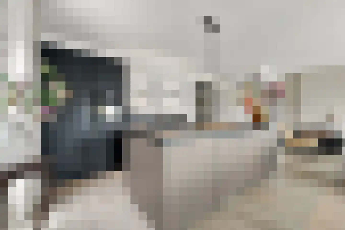 Zeilmaker 32 Vlissingen thumbnail 10