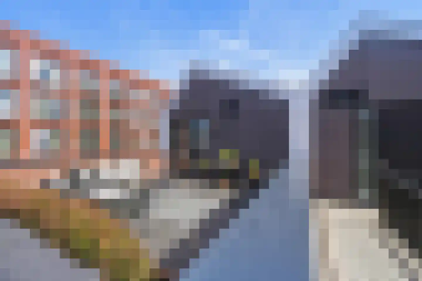 Zeilmaker 48 Vlissingen thumbnail 14