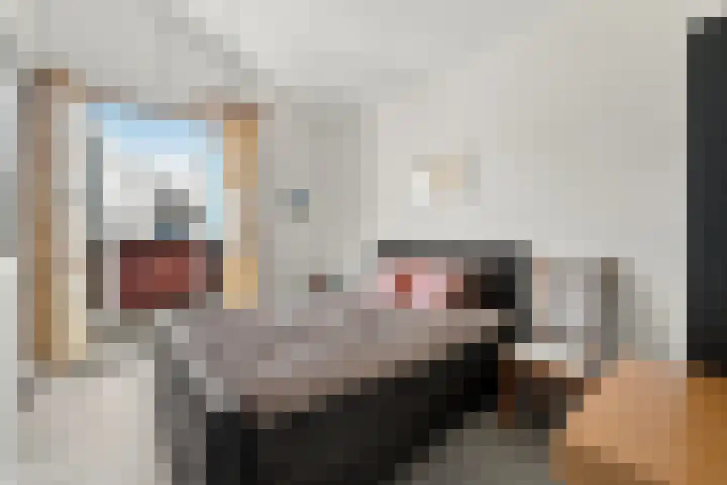 Zeilmaker 48 Vlissingen thumbnail 18