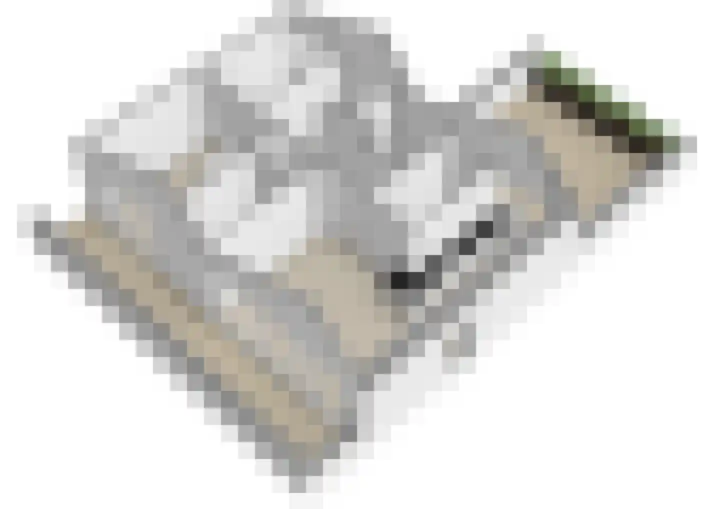 Zeilmaker 48 Vlissingen thumbnail 33