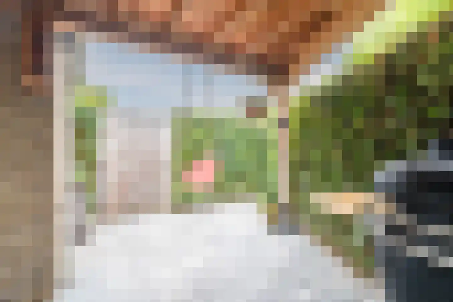 Zeilmakerslaan 54 De Meern thumbnail 20