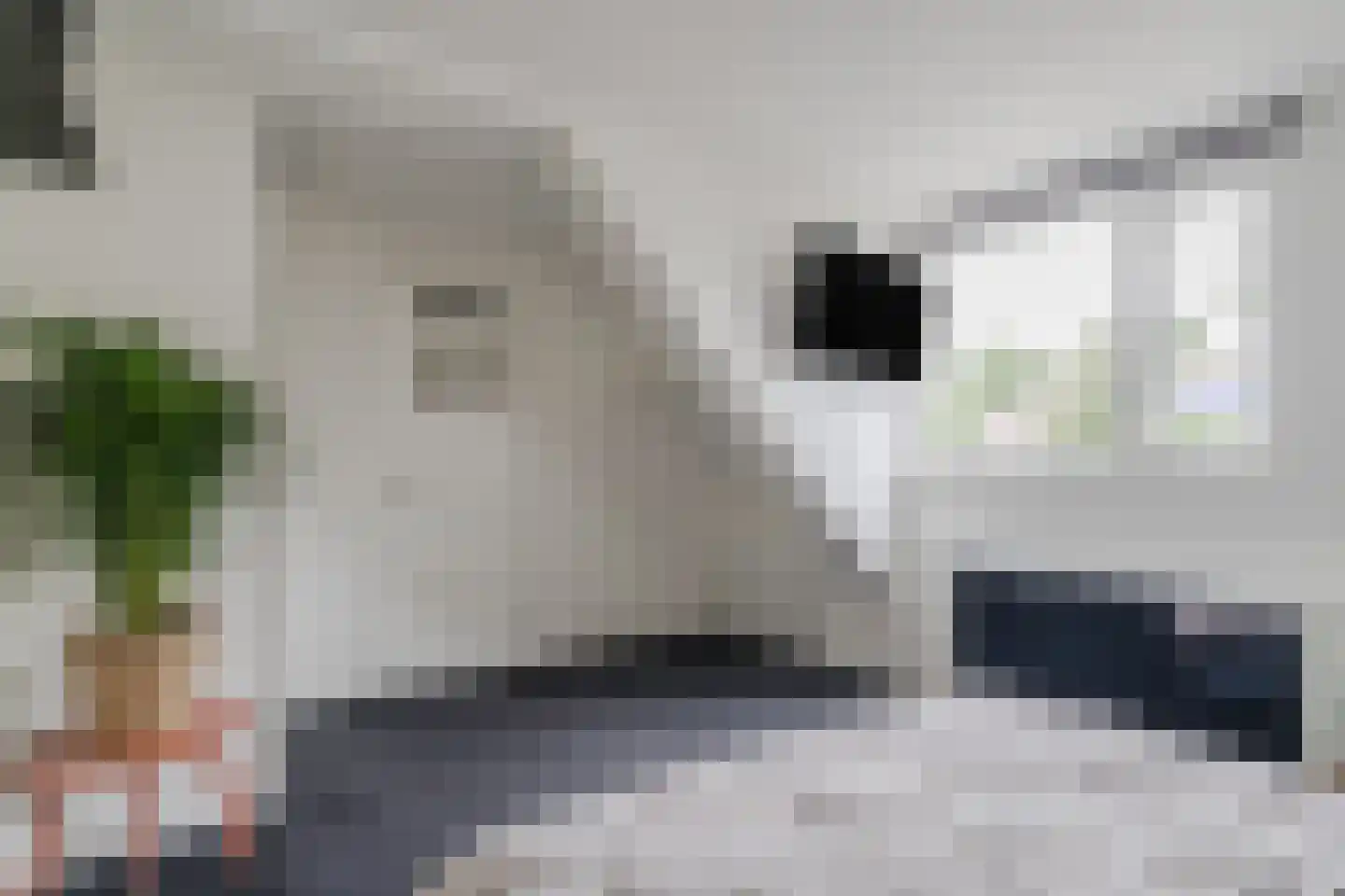 Zeilmakerslaan 54 De Meern thumbnail 36