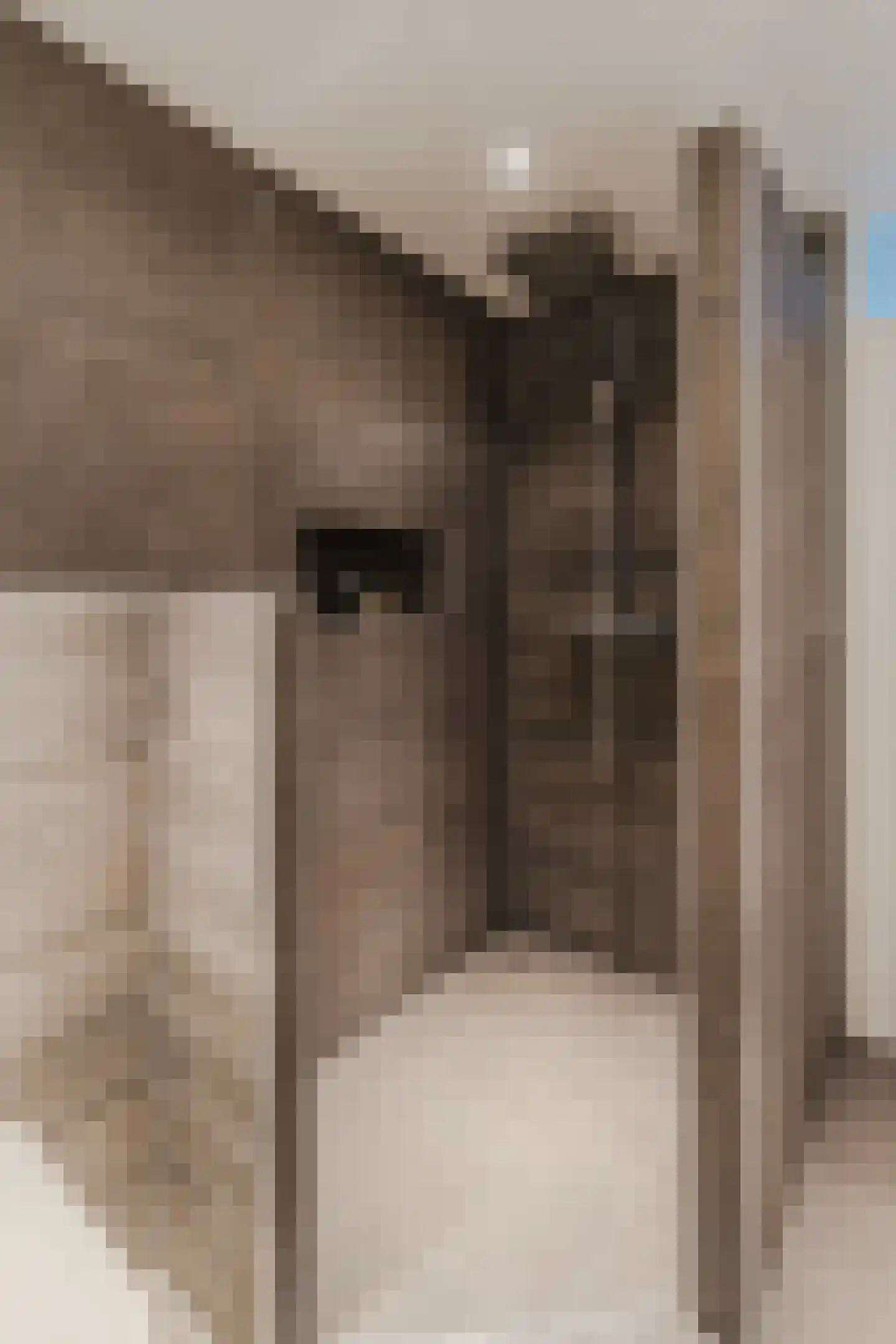 Zeilmakerslaan 54 De Meern thumbnail 45