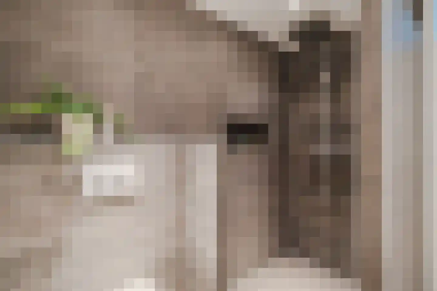 Zeilmakerslaan 54 De Meern thumbnail 5