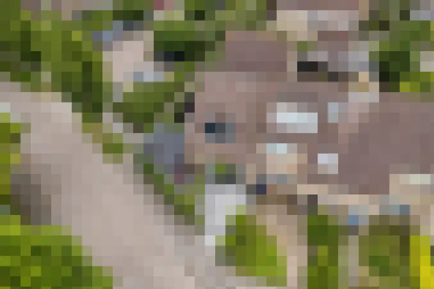 Zeilmakerslaan 54 De Meern thumbnail 57