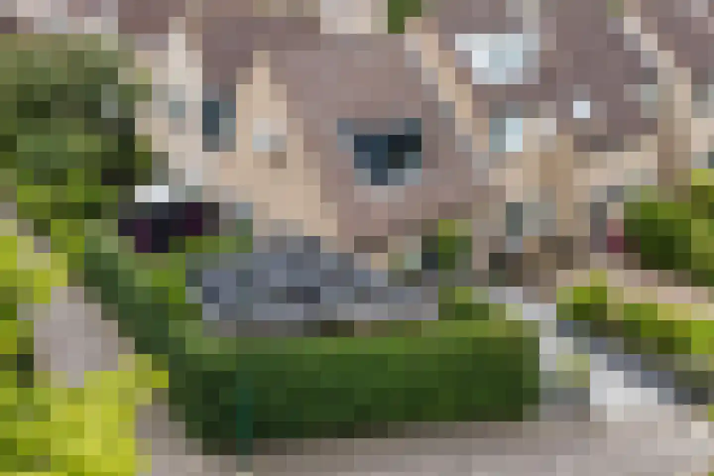 Zeilmakerslaan 54 De Meern thumbnail 58