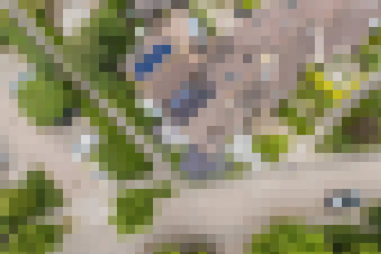 Zeilmakerslaan 54 De Meern thumbnail 61