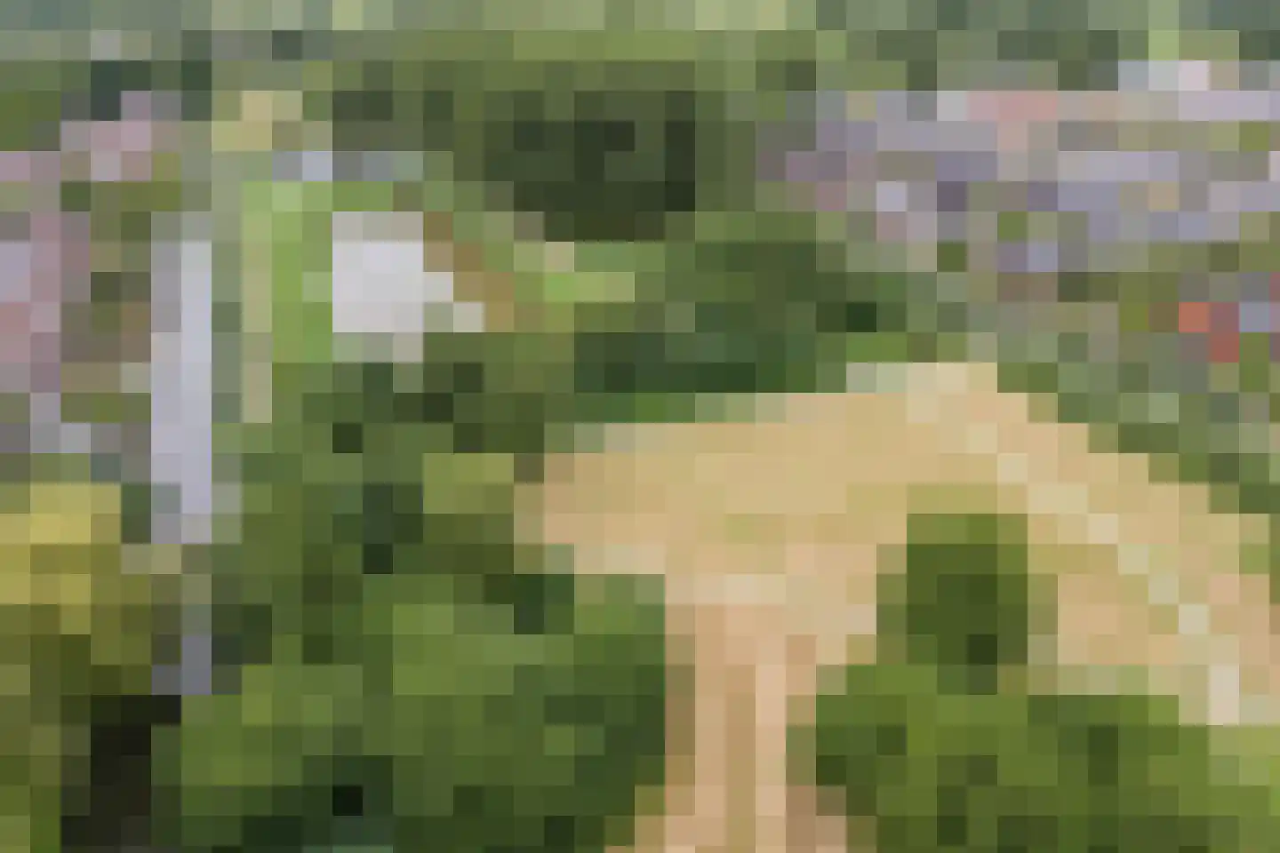 Zeilmakerslaan 54 De Meern thumbnail 65