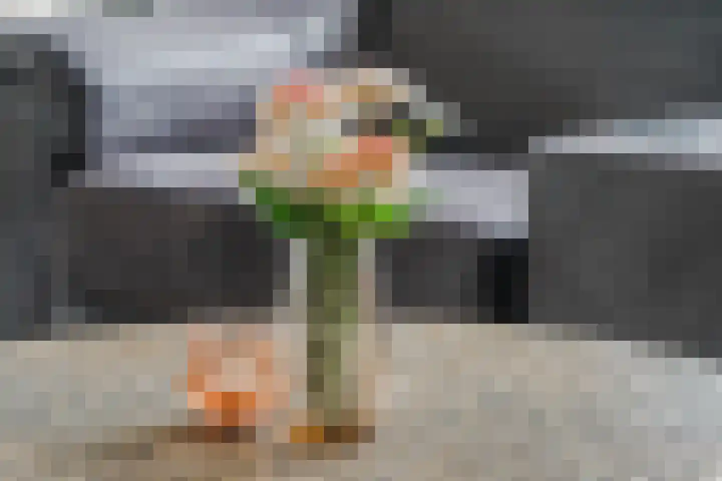 Zeilmakerslaan 54 De Meern thumbnail 8