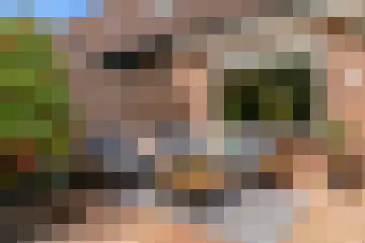 Zeilmakerslaan 6 De Meern thumbnail 26