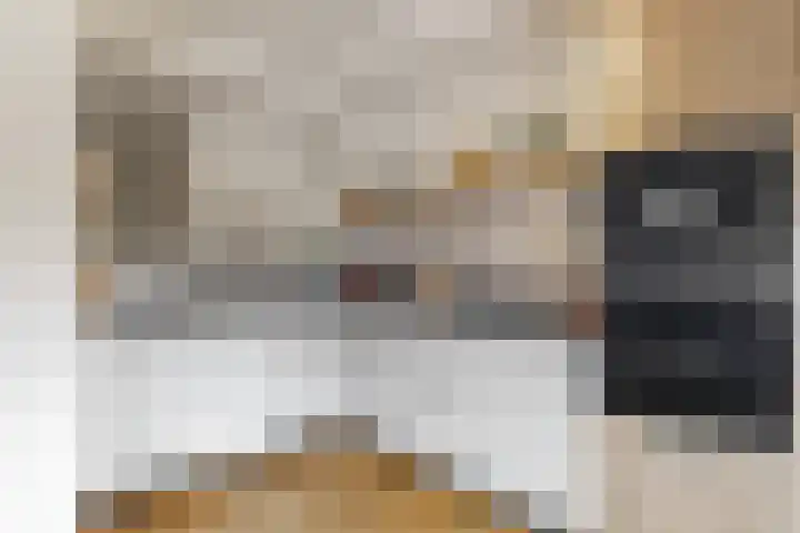 Zeilmakerslaan 6 De Meern thumbnail 9