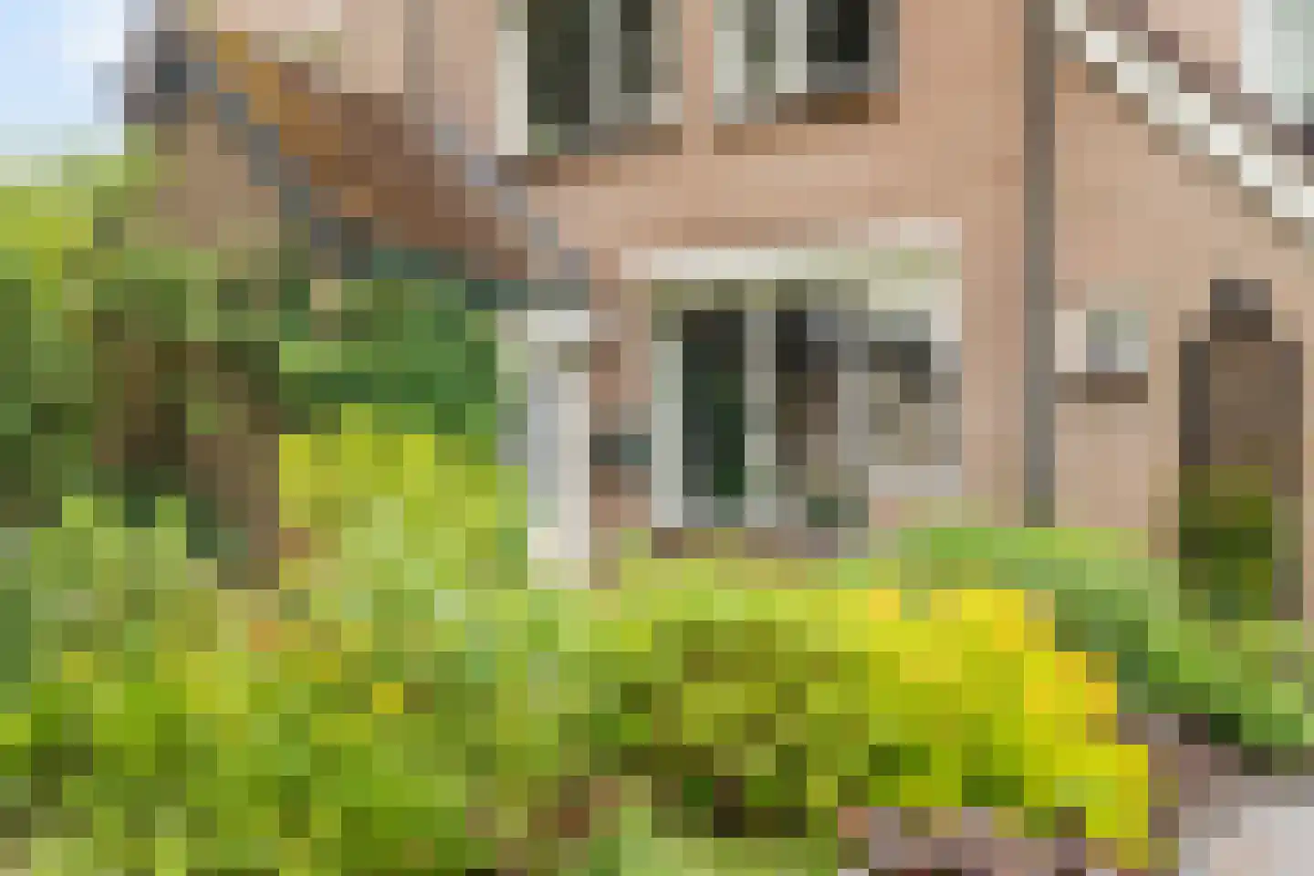 Zeilmakerslaan 75 De Meern thumbnail 4