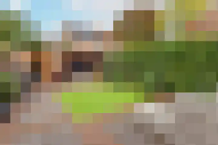 Zeilmakerslaan 85 De Meern thumbnail 17