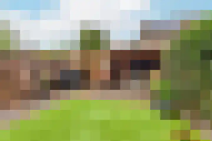 Zeilmakerslaan 85 De Meern thumbnail 19