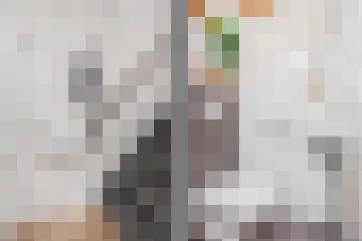 Zeilmakerslaan 85 De Meern thumbnail 23