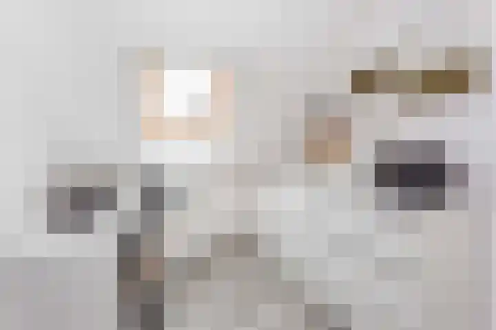 Zeilmakerslaan 85 De Meern thumbnail 26
