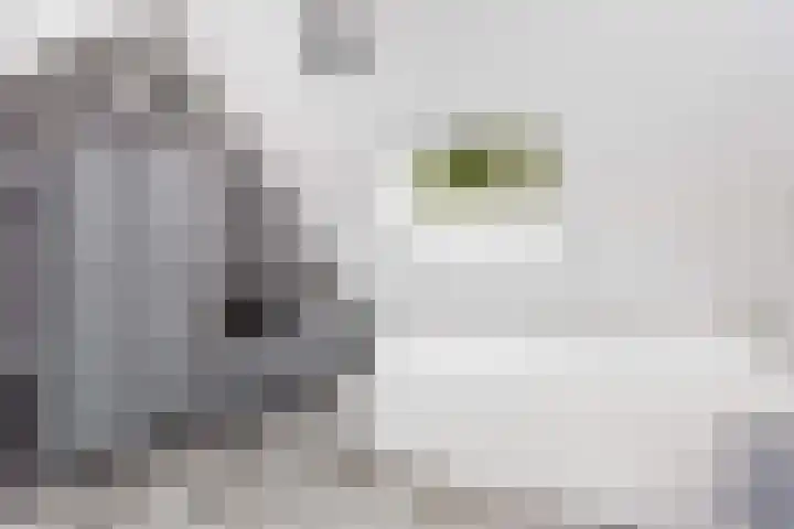 Zeilmakerslaan 85 De Meern thumbnail 37