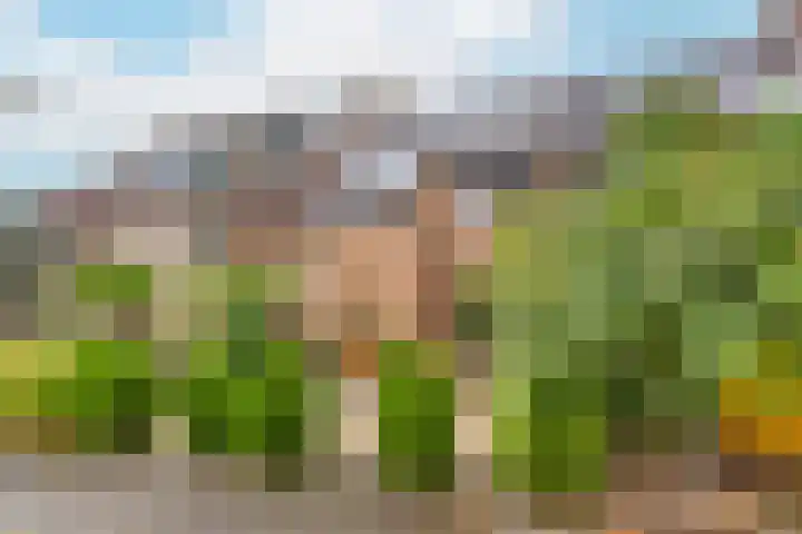 Zeilmakerslaan 85 De Meern thumbnail 4