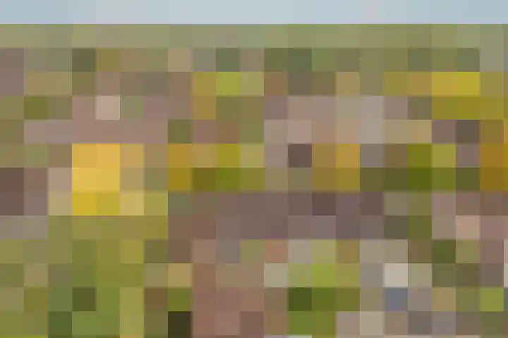 Zeilmakerslaan 85 De Meern thumbnail 42