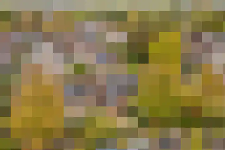 Zeilmakerslaan 85 De Meern thumbnail 43