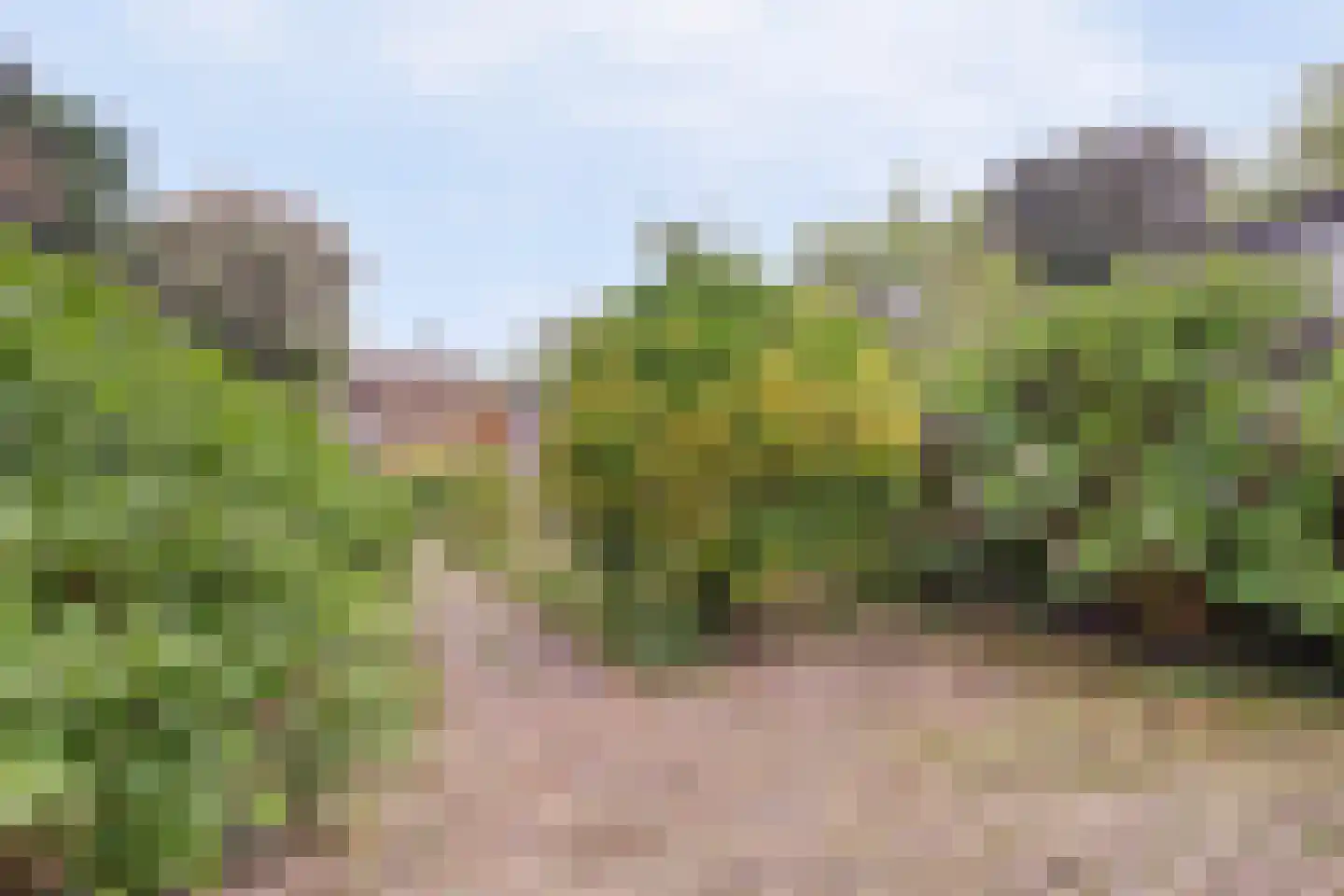 Zeilmakerslaan 89 De Meern thumbnail 25