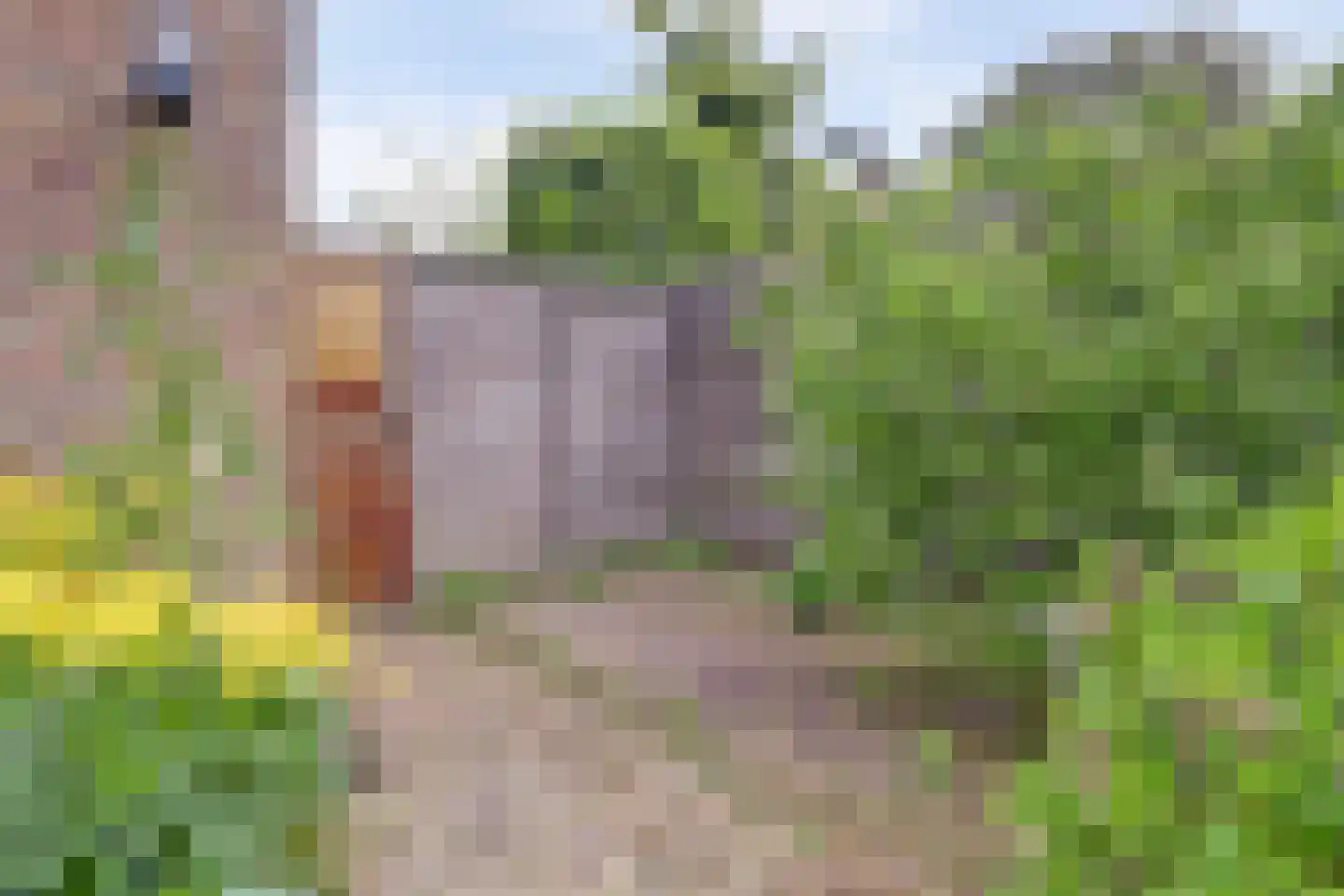 Zeilmakerslaan 89 De Meern thumbnail 27