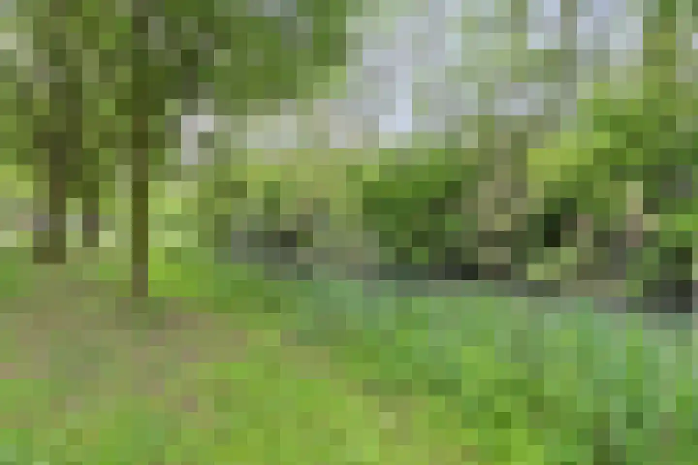 Zeilmakerslaan 89 De Meern thumbnail 34
