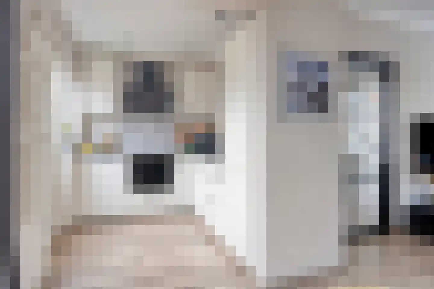 Zeilmakersstraat 12 Krimpen aan de Lek thumbnail 10