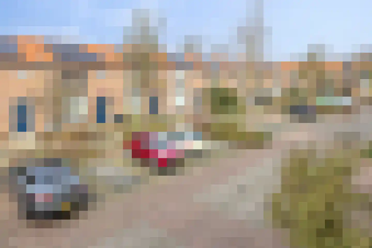 Zeilmakersstraat 12 Krimpen aan de Lek thumbnail 29