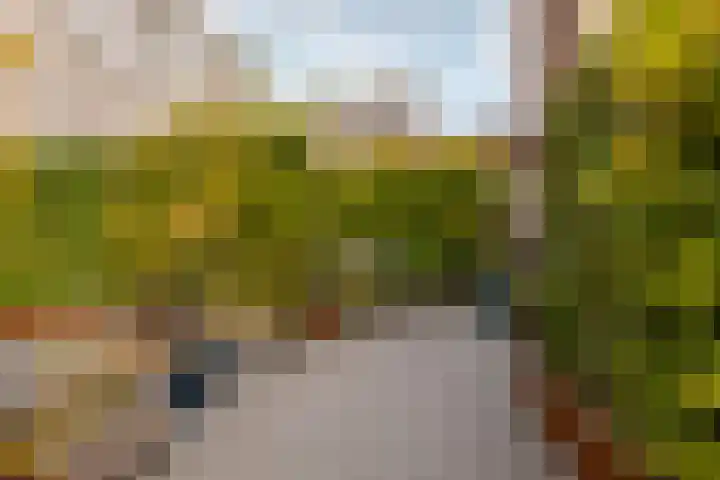 Zeilmakersstraat 50 Rotterdam thumbnail 29