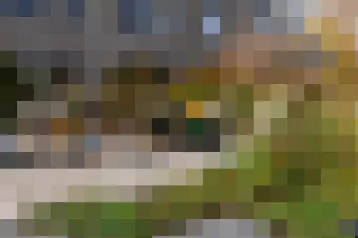Zeilmakersstraat 50 Rotterdam thumbnail 30