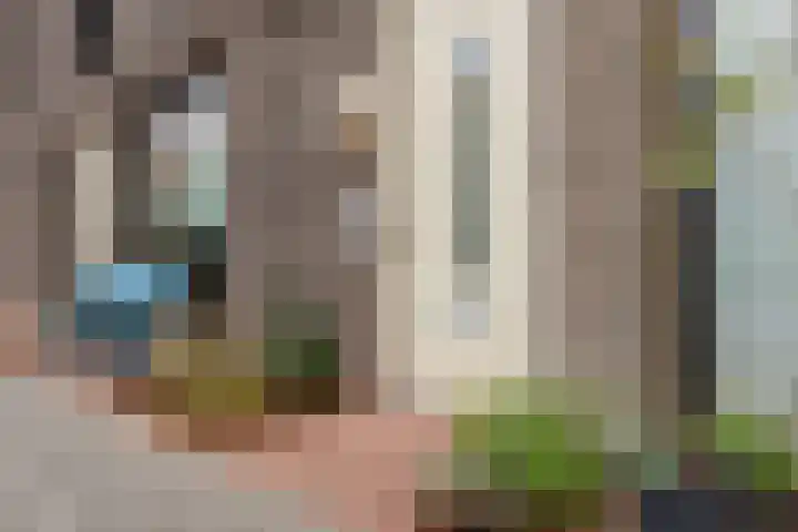 Zeilmakersstraat 50 Rotterdam thumbnail 6